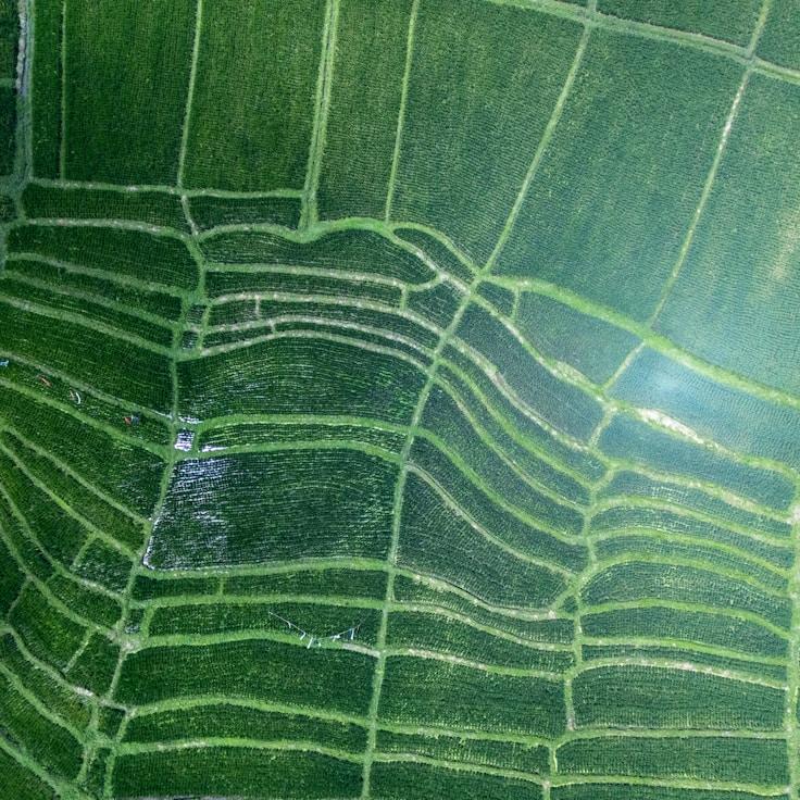 Kids playground area in France